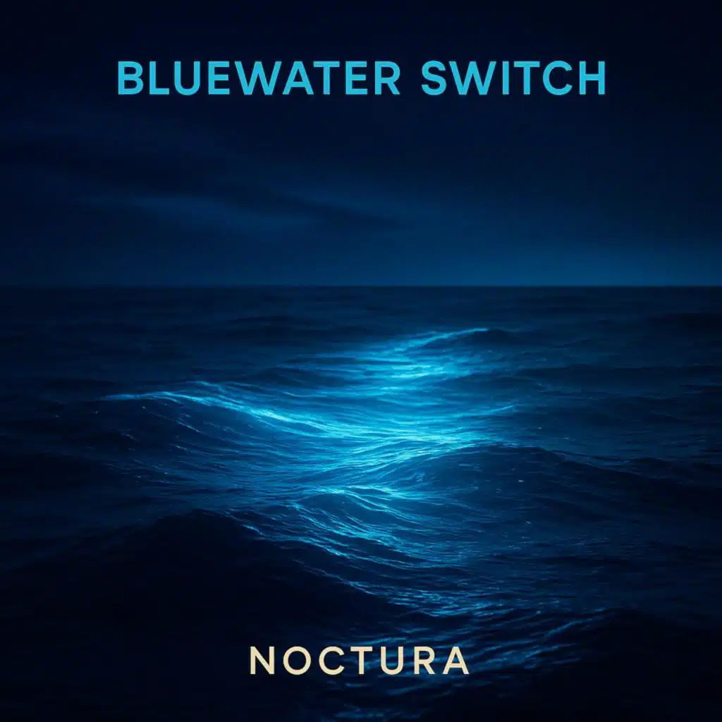Bluewater Switch