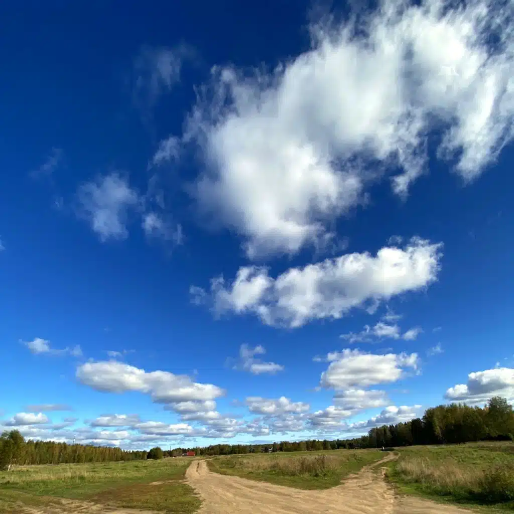 AstroPilot & Eternal Meadows