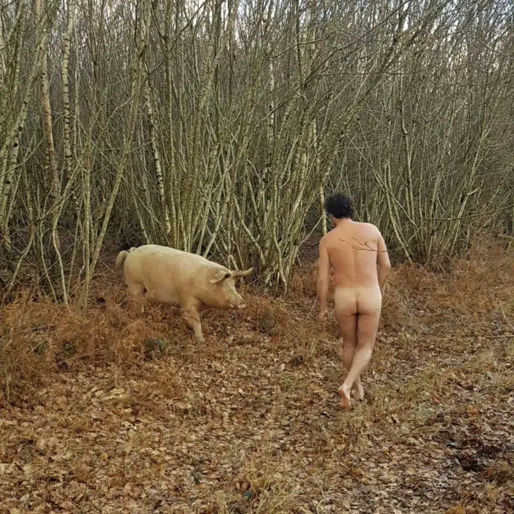 Musique Post-Bourgeoise