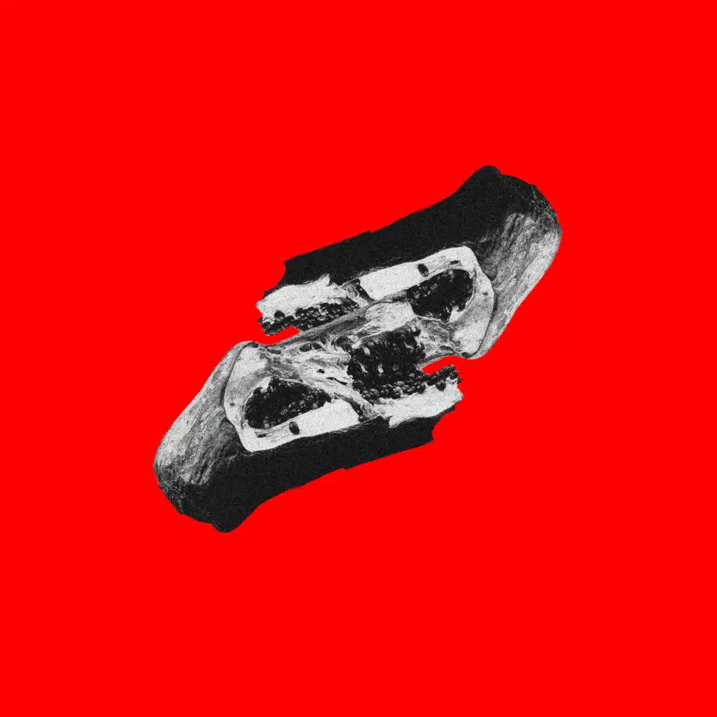 Molho Negro