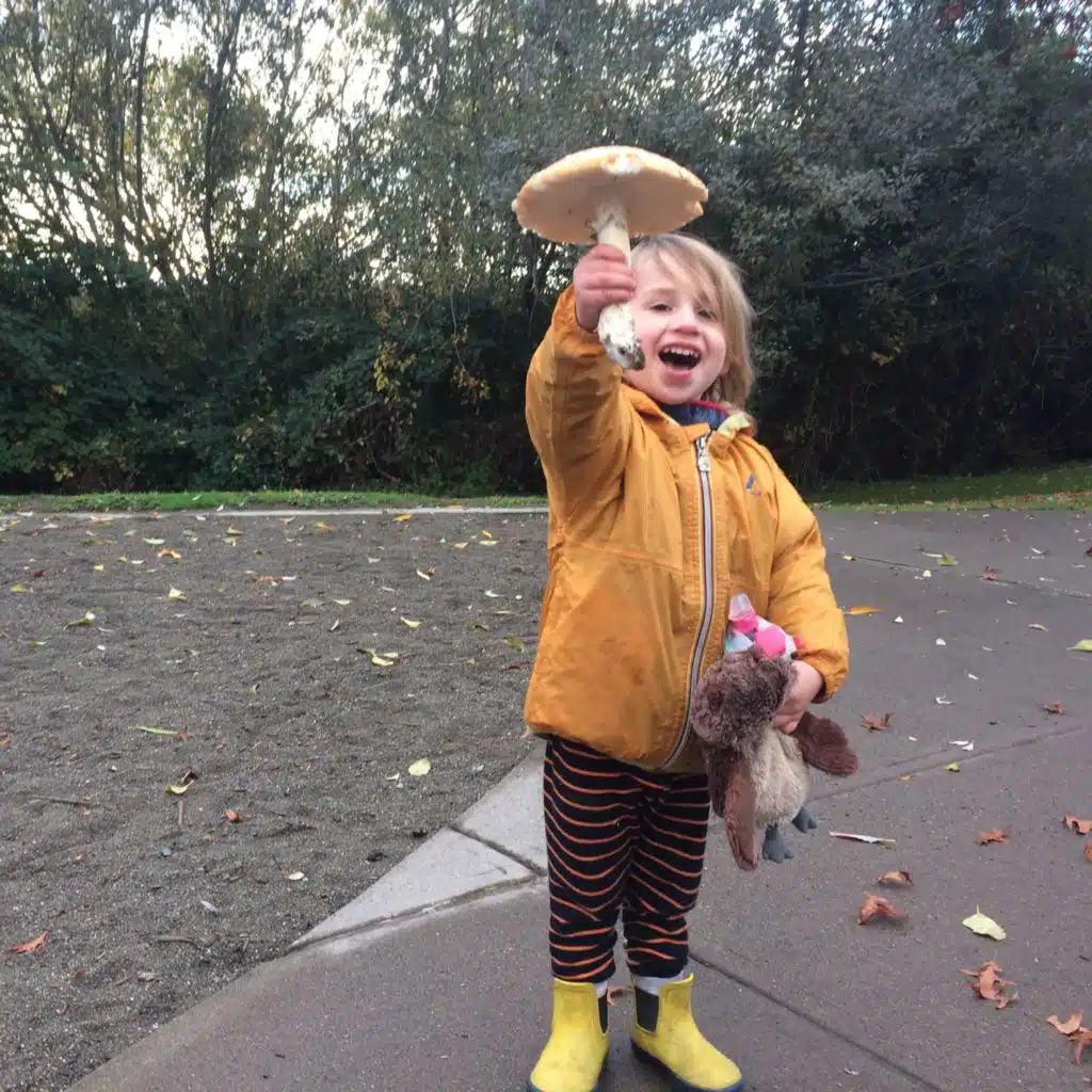 The Only Cure for the Doom/Tocftd