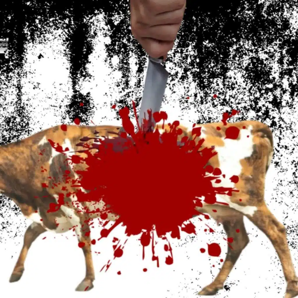 Understanding Abraham And The Blood Covenant