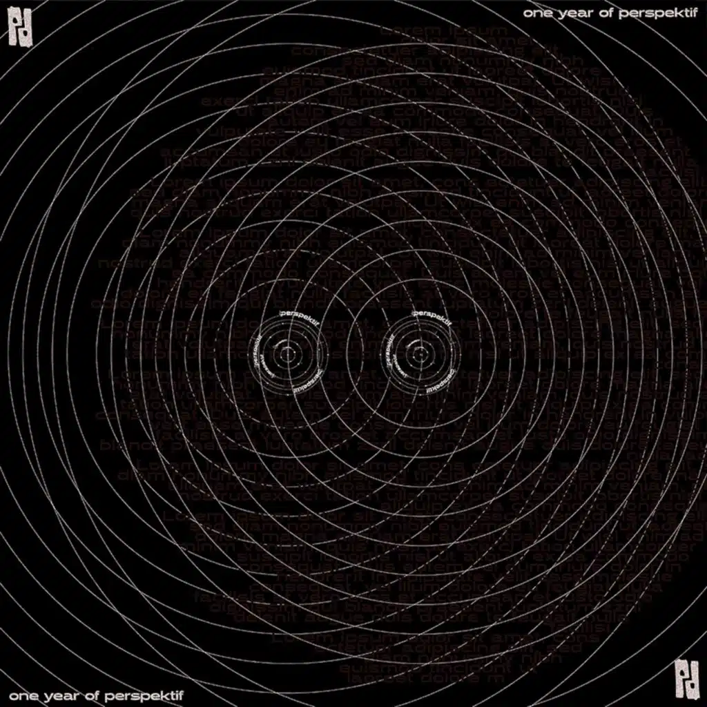 One Year of Perspektif - VA