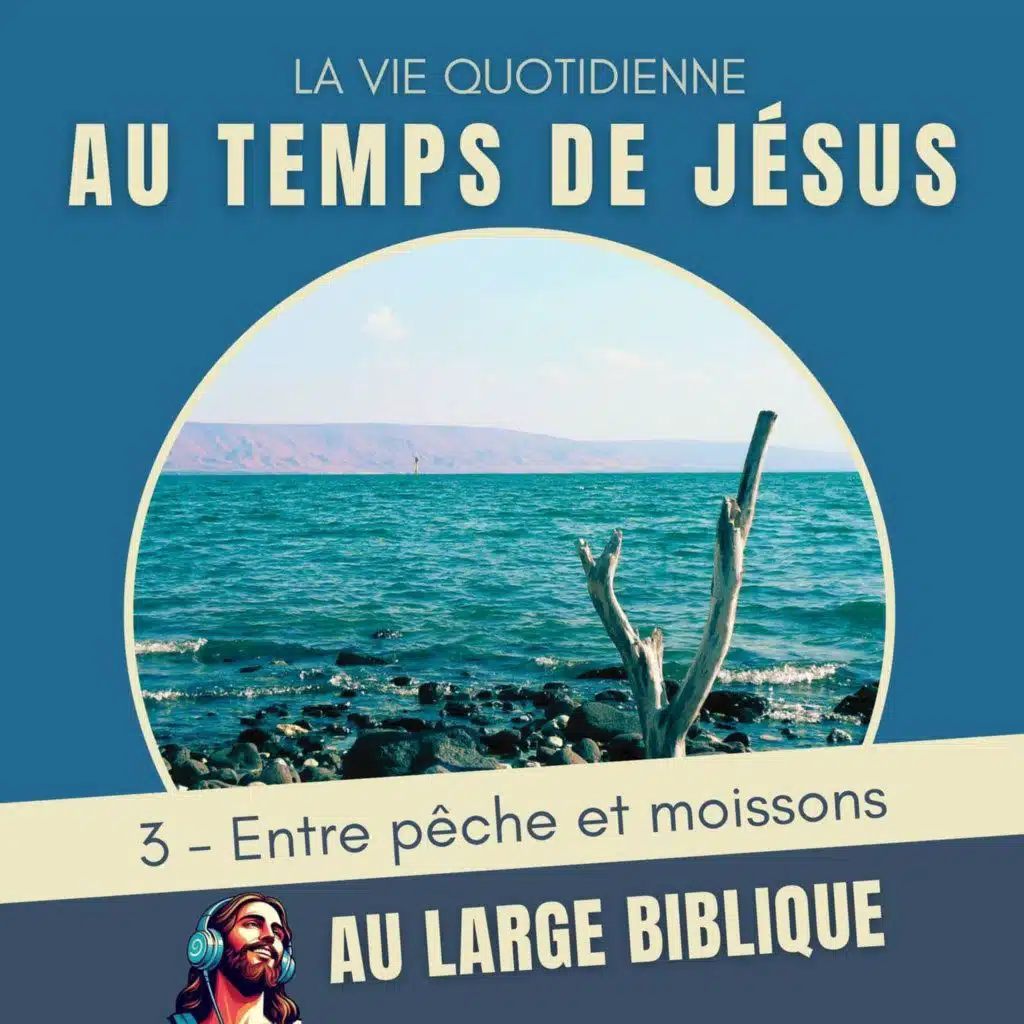 #382 Au temps de Jésus (3) Entre pêche et moissons