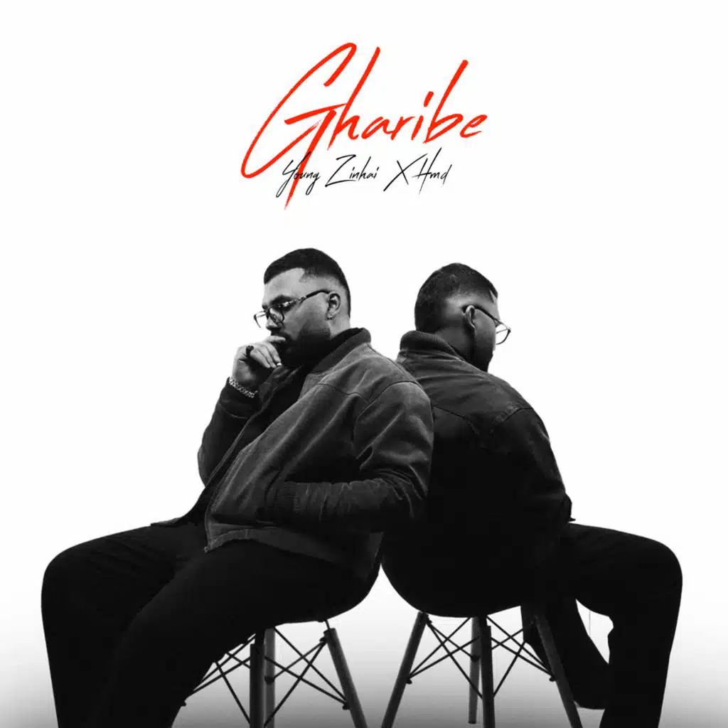 Gharibe (feat. THEMOON)