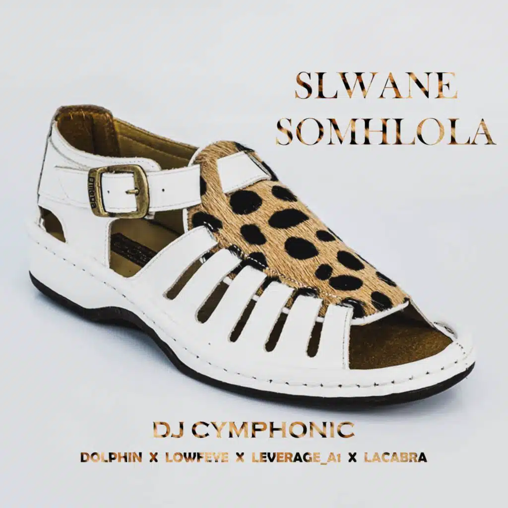 Slwane somhlola (feat. Dolphin no Ntshebzin, Leverage_A1, Lowfeye & LaCabra)