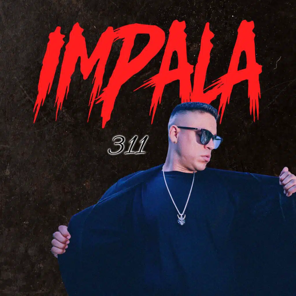 311 (Extended Version)