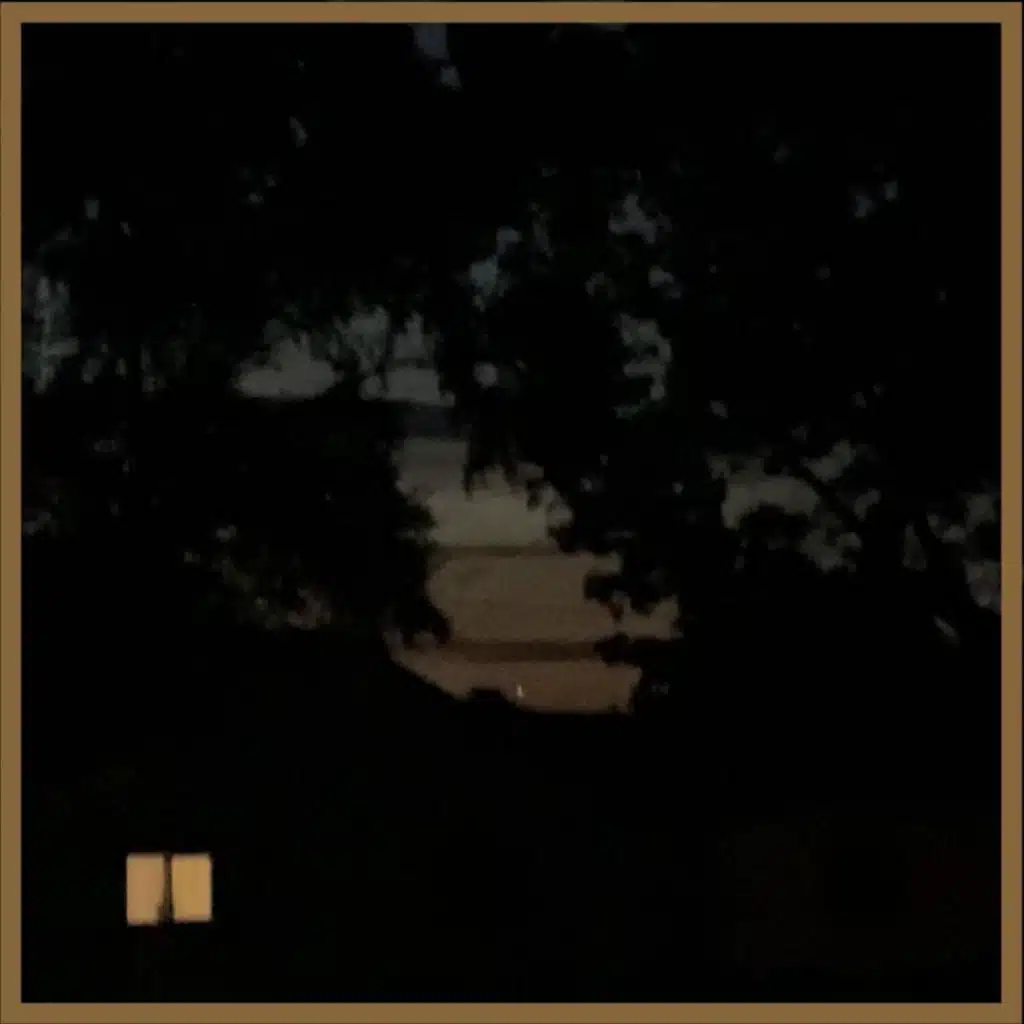 Fogged Lenses or Flat Lies?