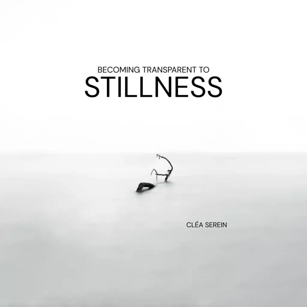 Becoming Transparent to Stillness
