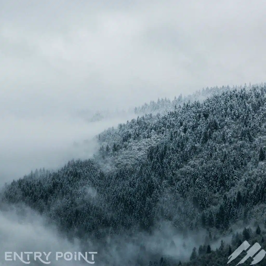 Entry Point