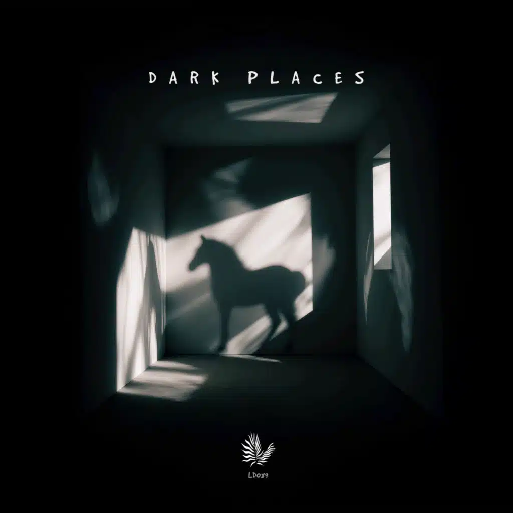 Dark Places (Paul Traeumer Remix)