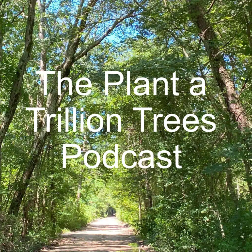 Episode 203 - Basil Camu is co-founder of Leaf&Limb, a tree care company in Raleigh, NC. 