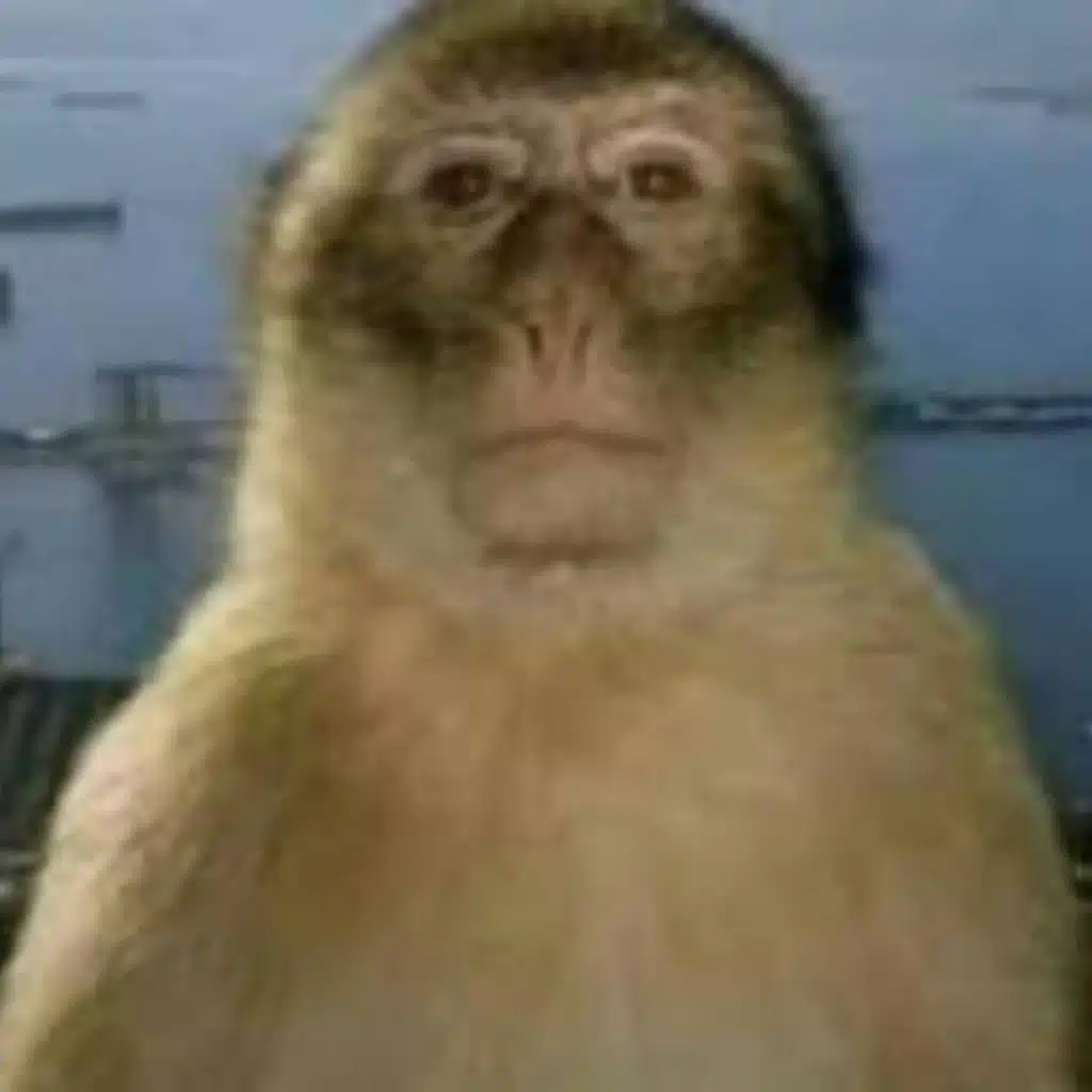 Tonight I'm Playing Clash Royale