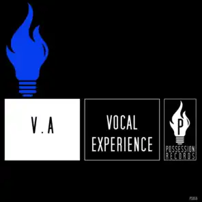 Vocal Experience