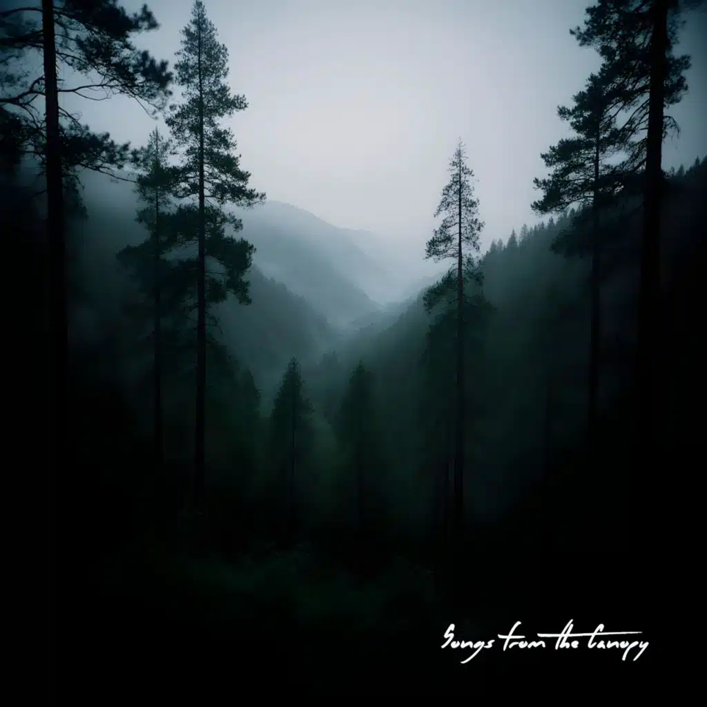 Songs From The Canopy