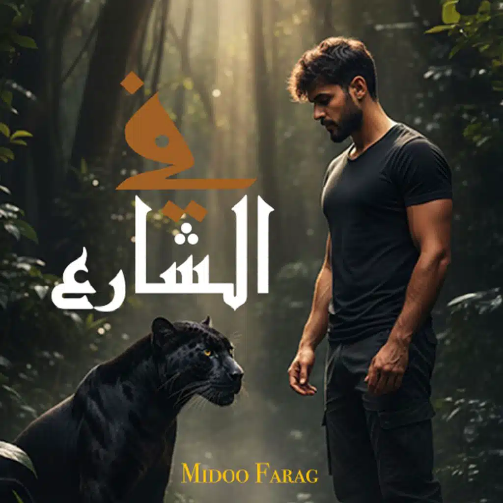 فى الشارع