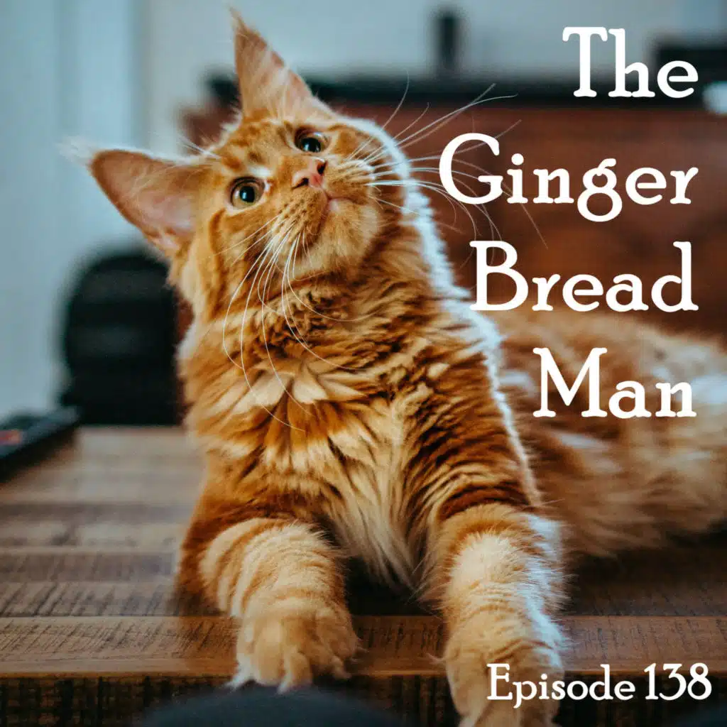 138: The Cat Episode