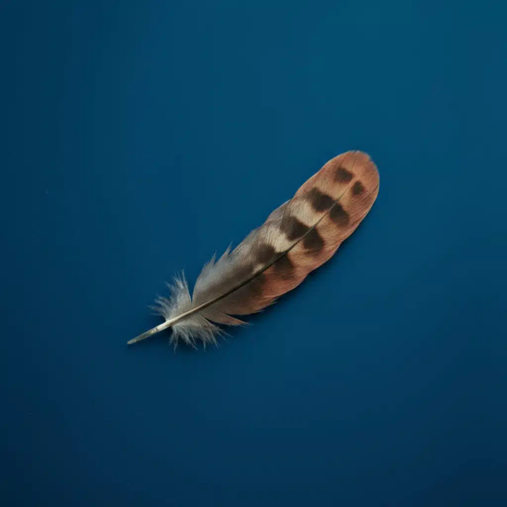 Lil Feather.