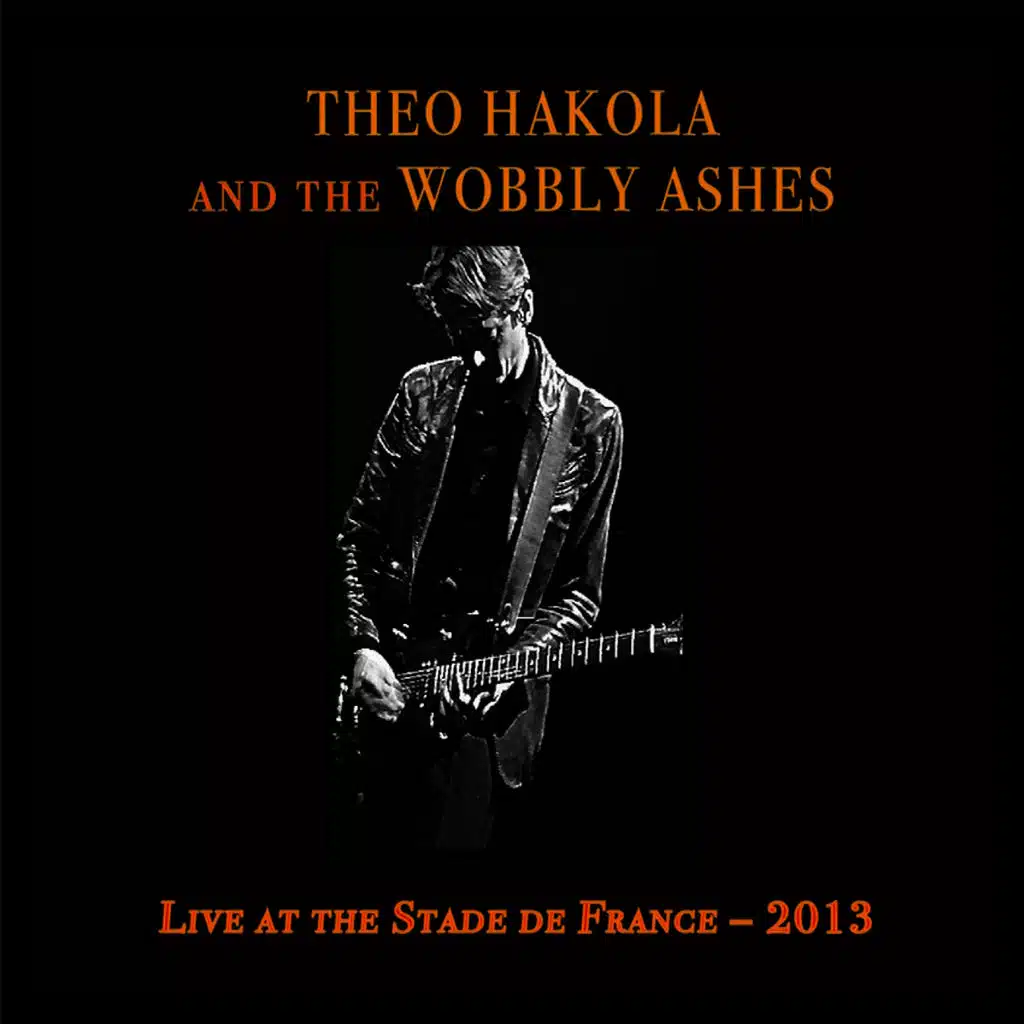 This Land Is Not Your Land (Live)