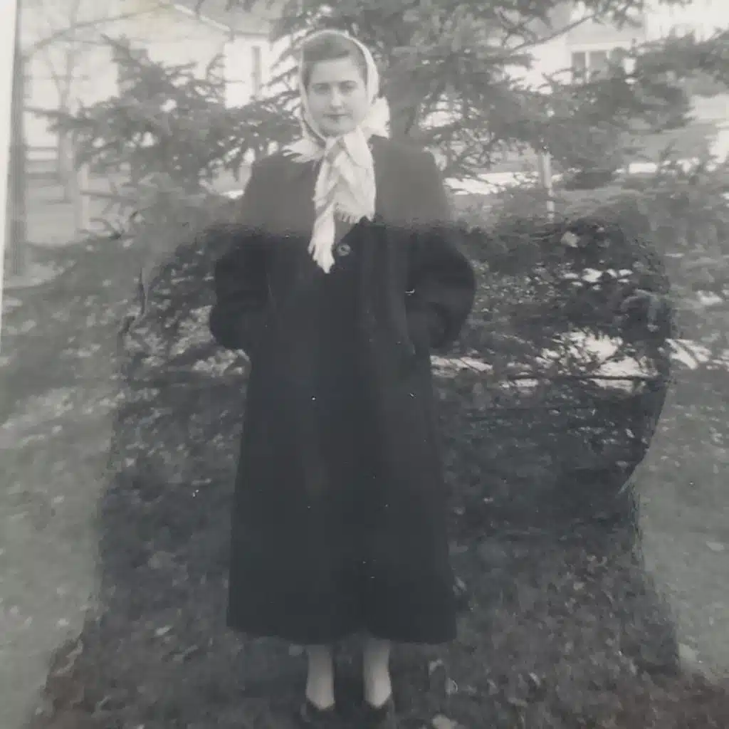 Wonders of Christmas