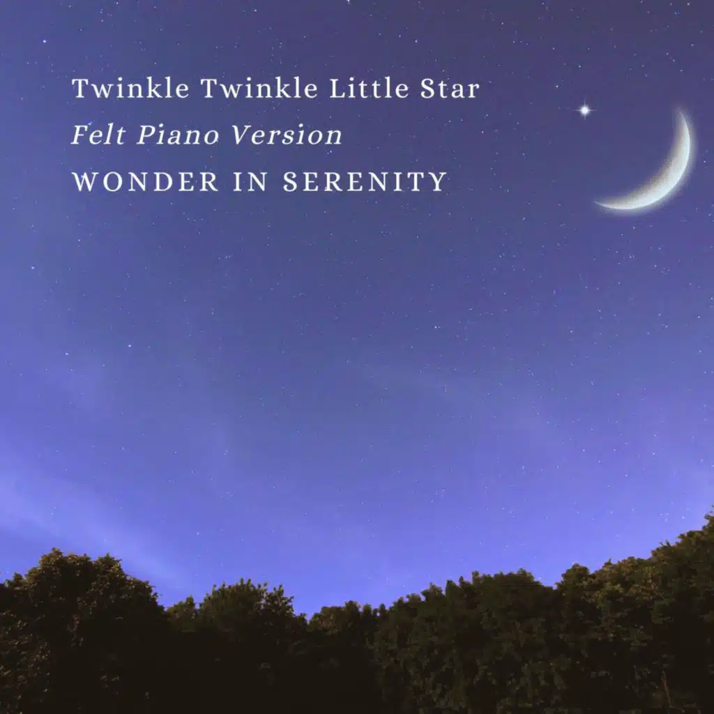 Twinkle Twinkle Little Star (Felt Piano Version)
