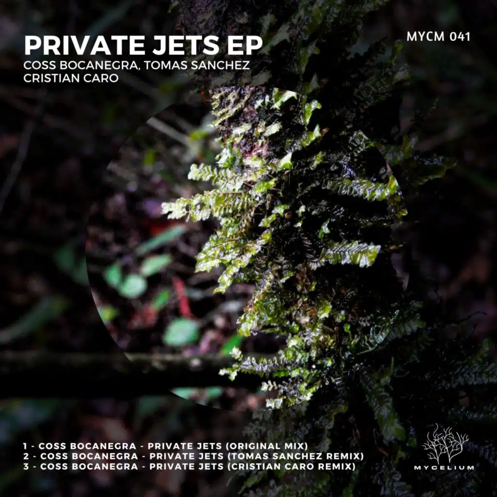Private Jets (Tomas Sanchez Remix)