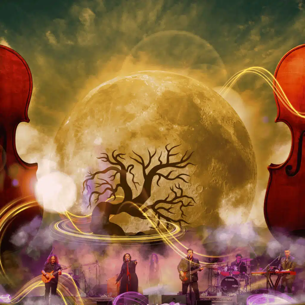 Go Your Own Way (Live In Concert)