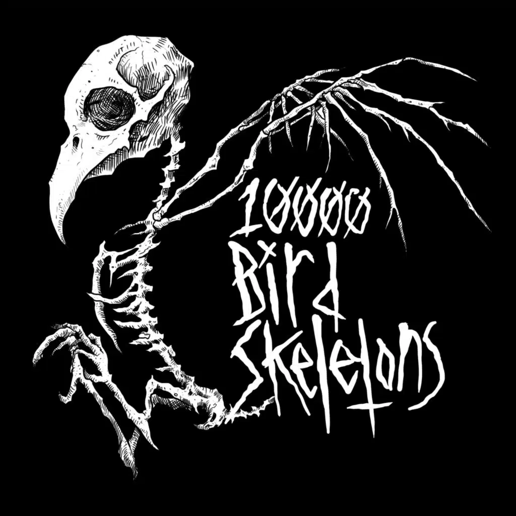 10,000 Bird Skeletons Demo