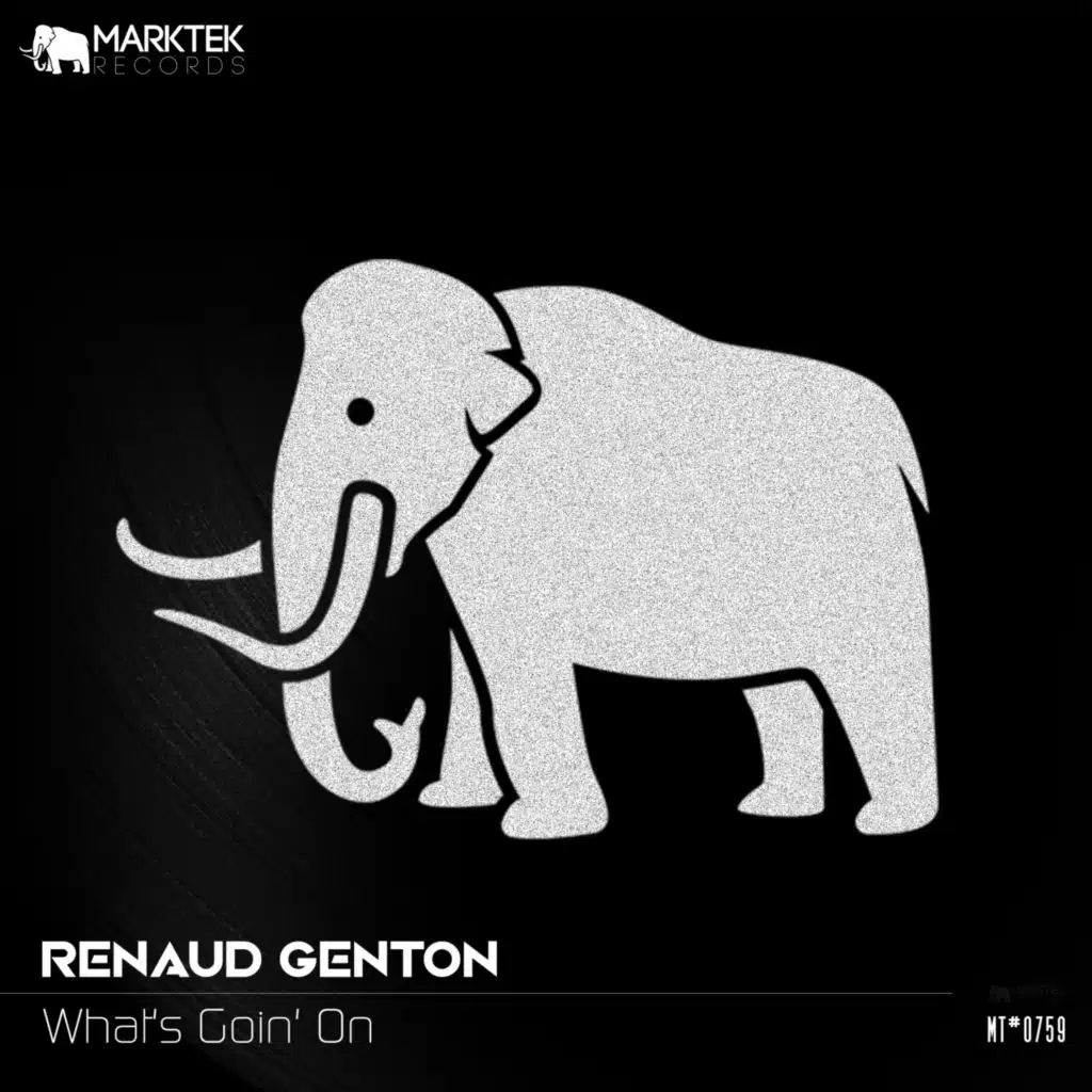 Renaud Genton