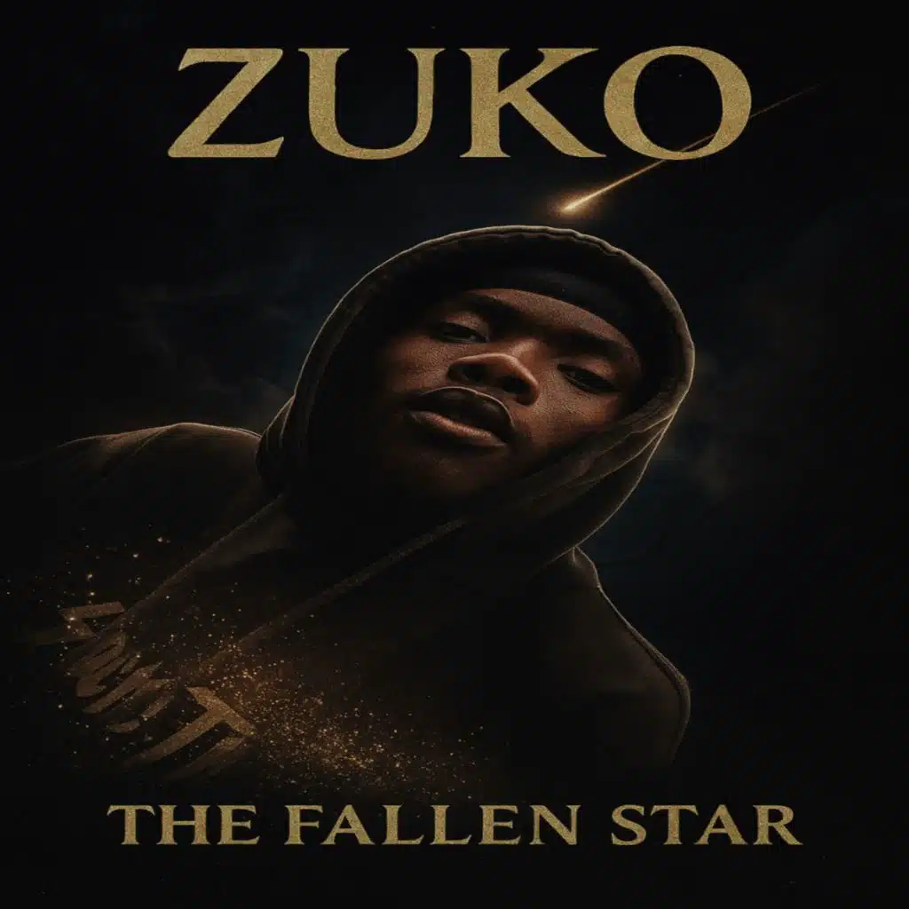 Zuko The Fallen Star