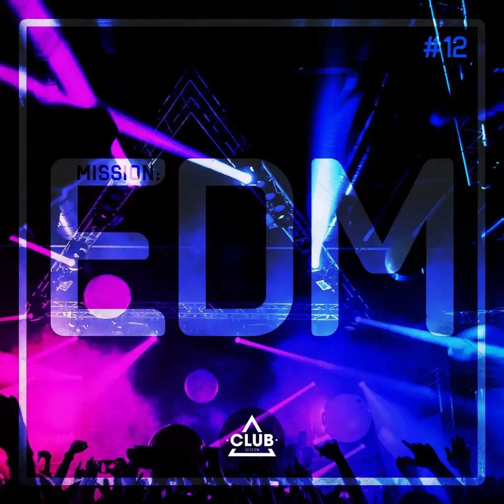 Mission EDM, Vol. 12