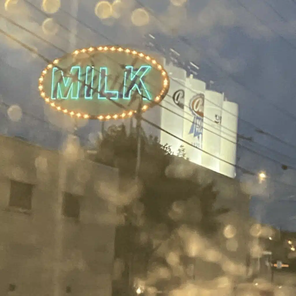 Mikey and The Moon Stompers