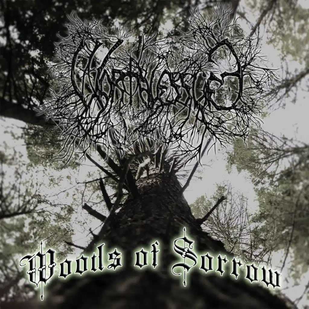 Woods Of Sorrow (Instrumental)