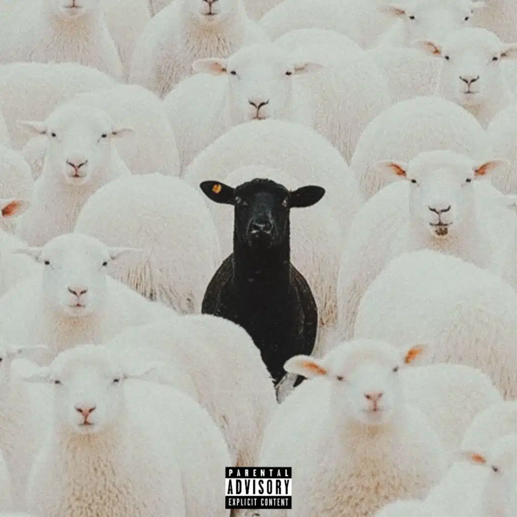 The Party Don't Stop