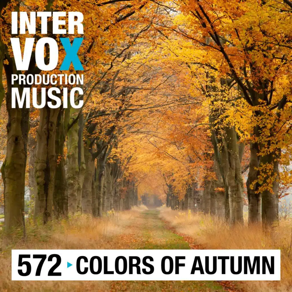 Jochen Schmidt-Hambrock & Intervox Music