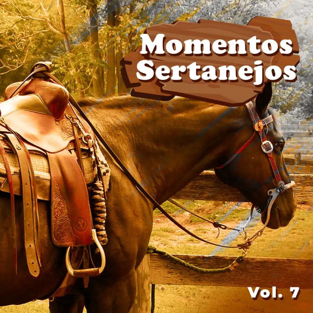 Momentos Sertanejos, Vol.7