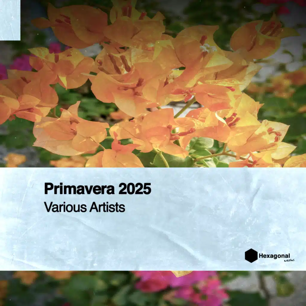 Primavera 2025