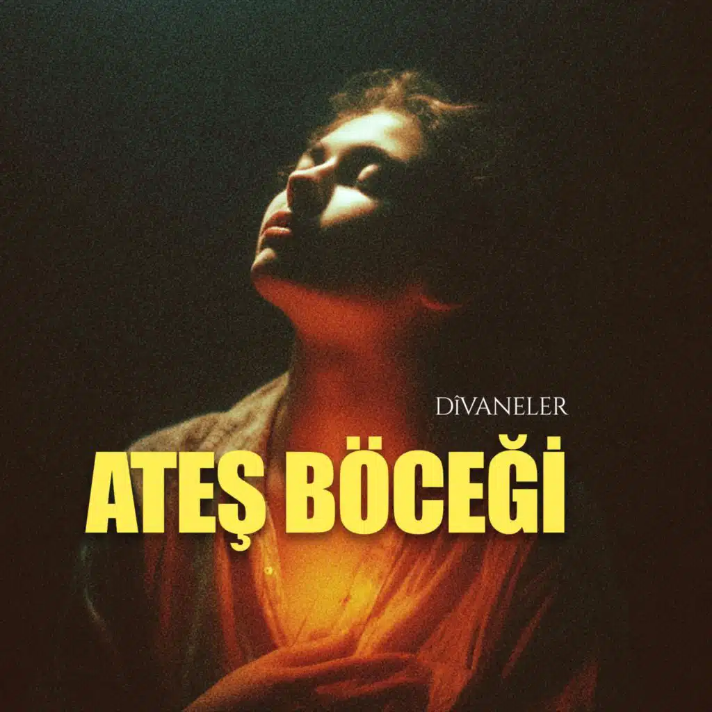 Ateş Böceği