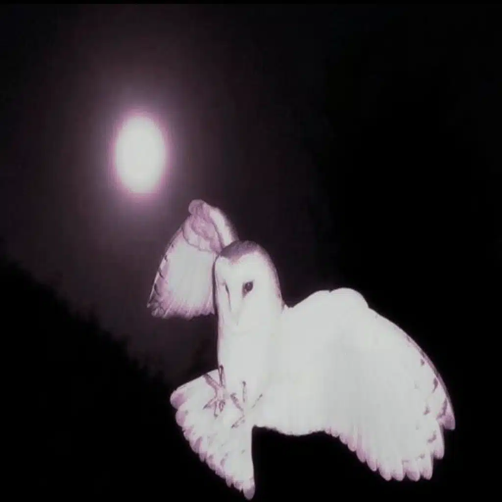 the month of october