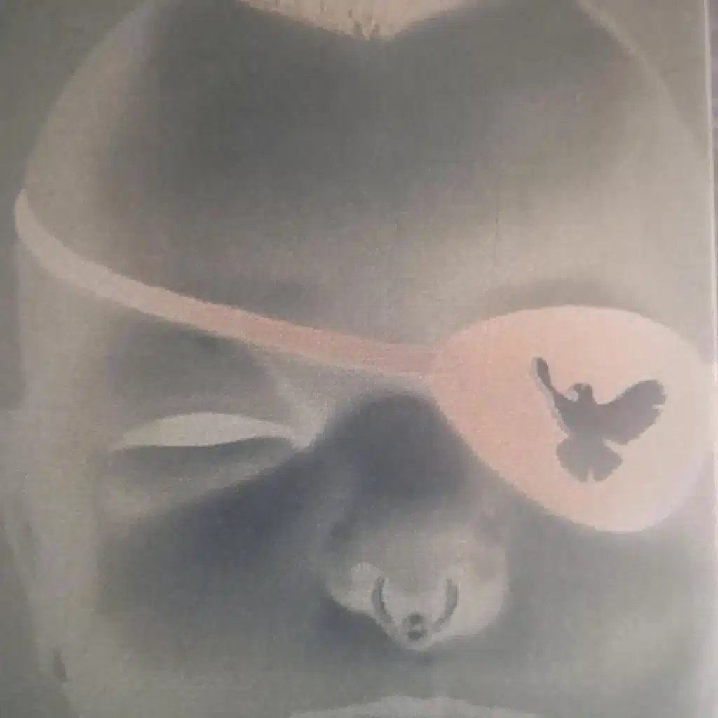 25 Years of Decode vol 5