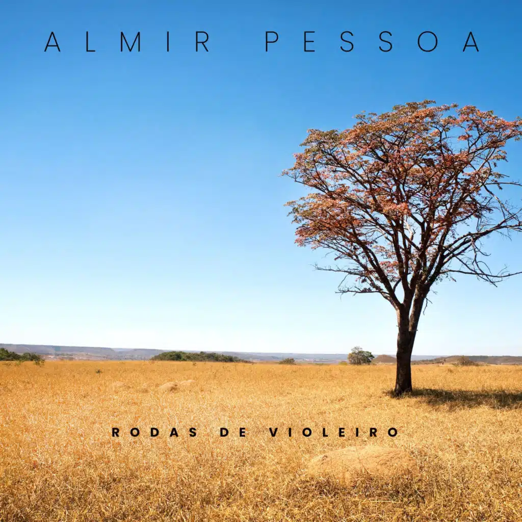 Almir Pessoa