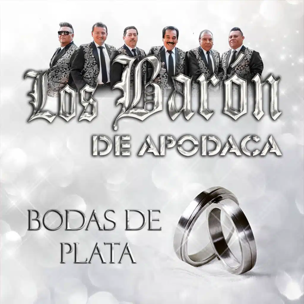 BODAS DE PLATA