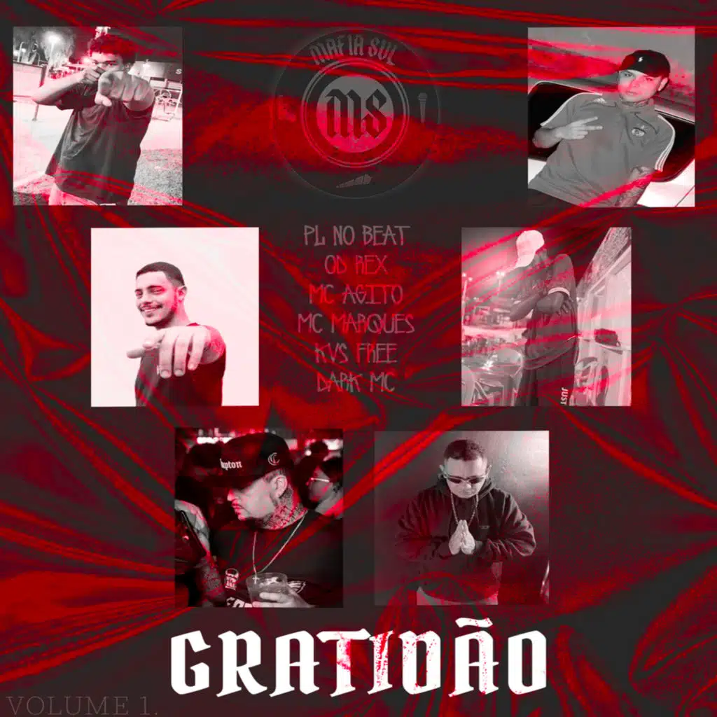 Gratidão (feat. DARK MC, KVS FREE, Mc Marques, Vz REX, PL NO BEAT & Máfia Sul Records)