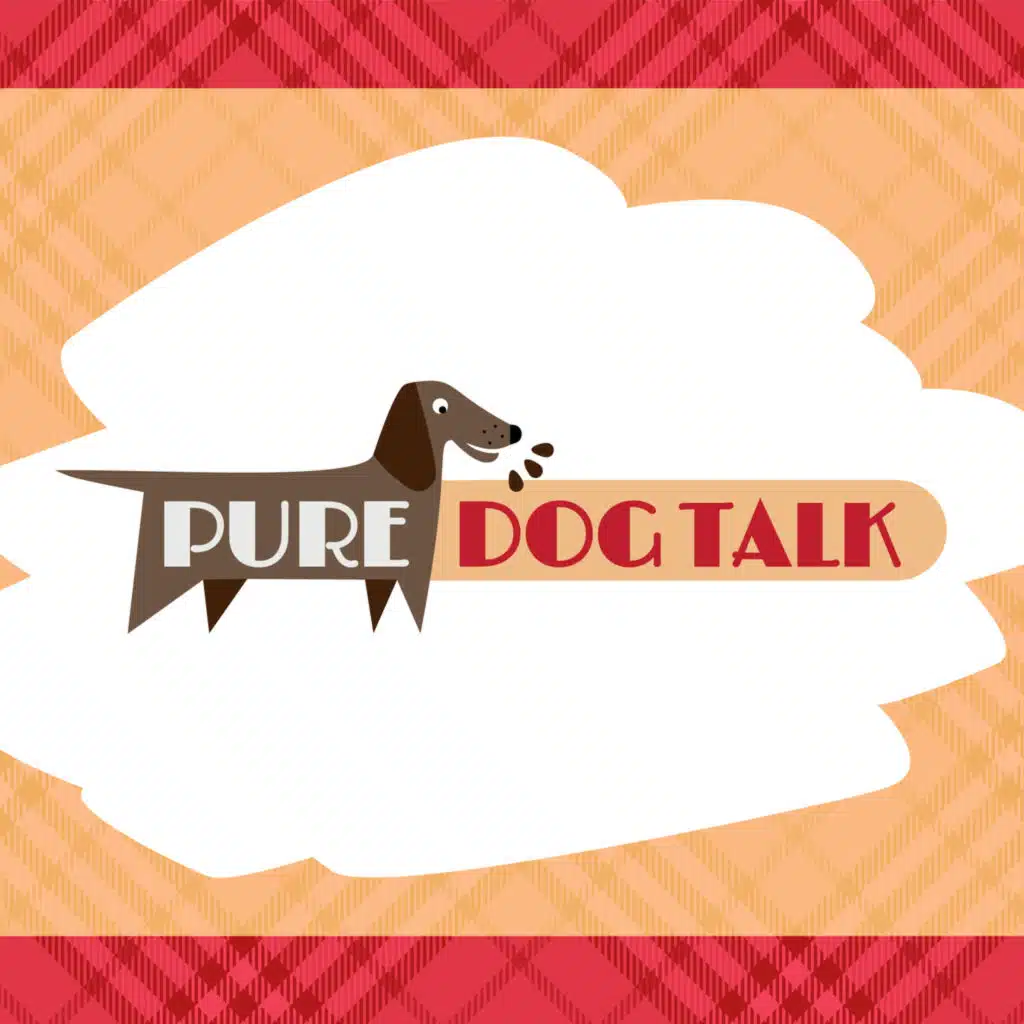 709 – Adam Levy’s Secrets to Success of Top-Level Dual Dogs