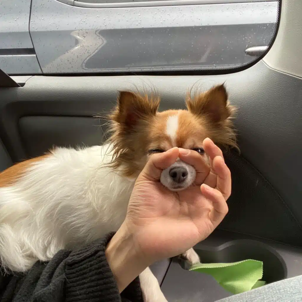 Honey (Instrumental Version)