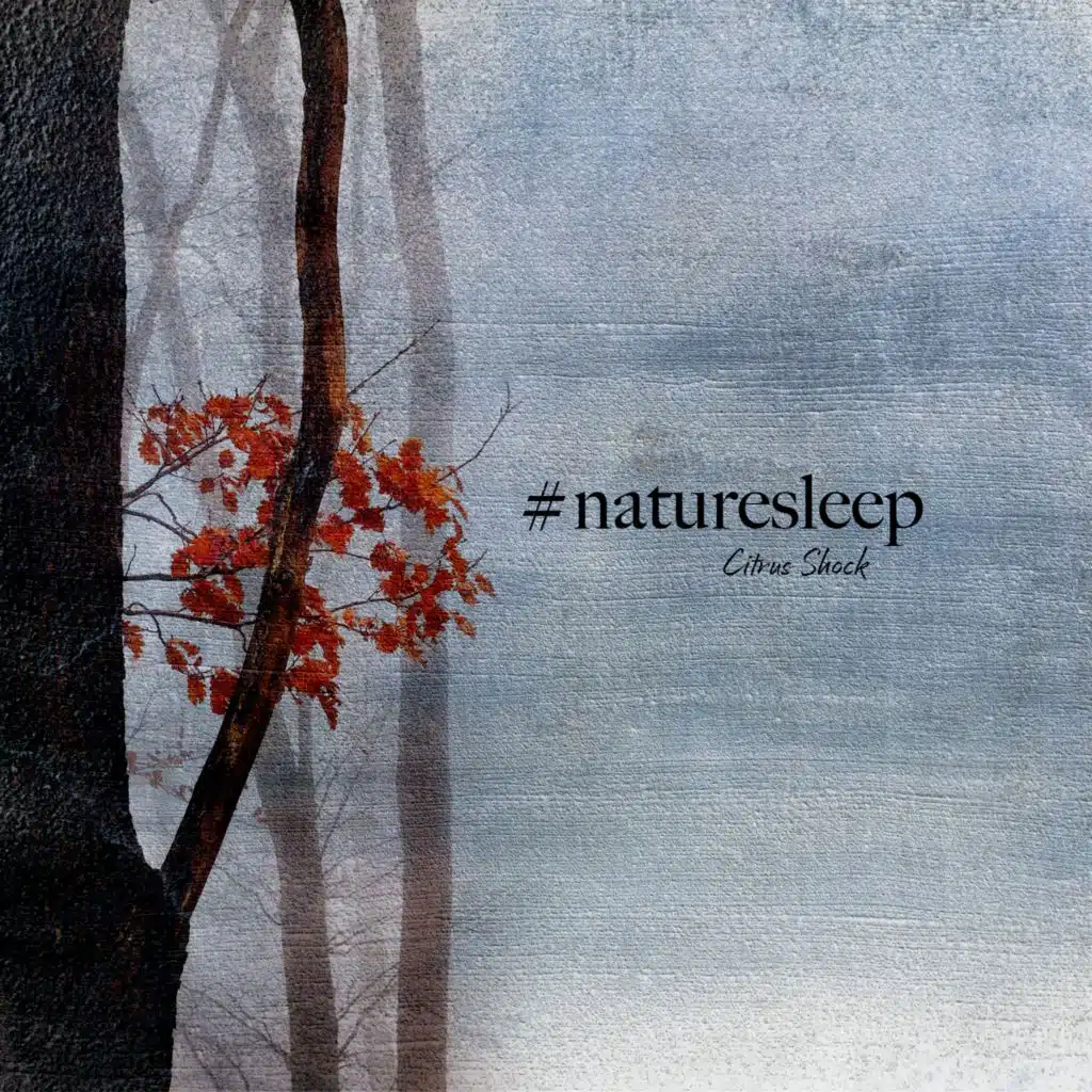 #naturesleep