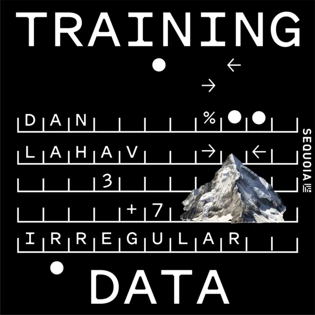 Securing the AI Frontier: Irregular Co-founder Dan Lahav