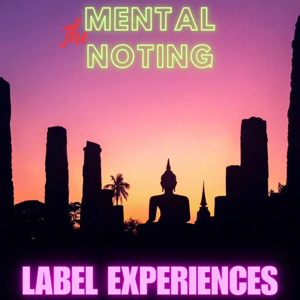 Label Experiences