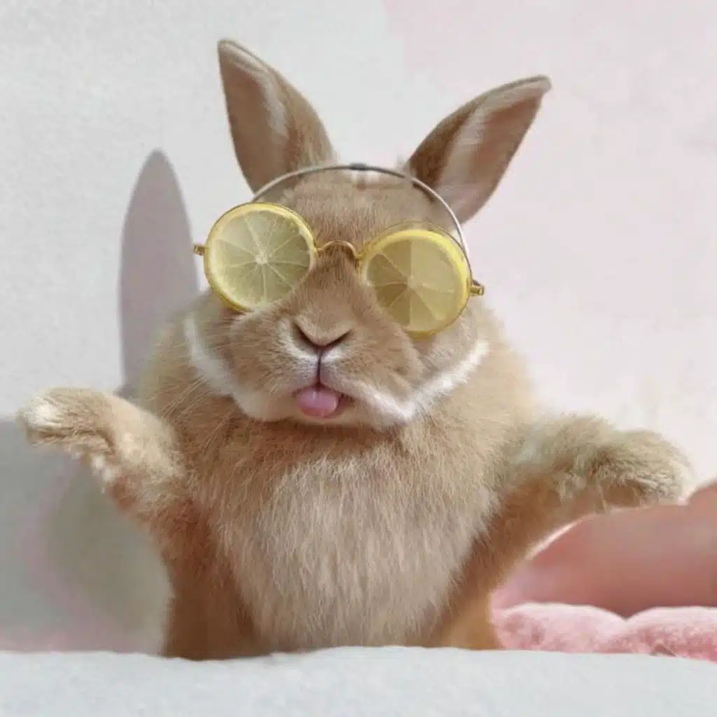 Bright in Small Motion