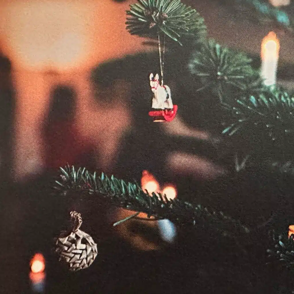 Magnus & das blühende Leben